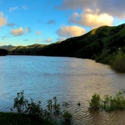 City of Avalon Harbor Department