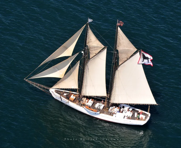The Black Dog Tall Ships