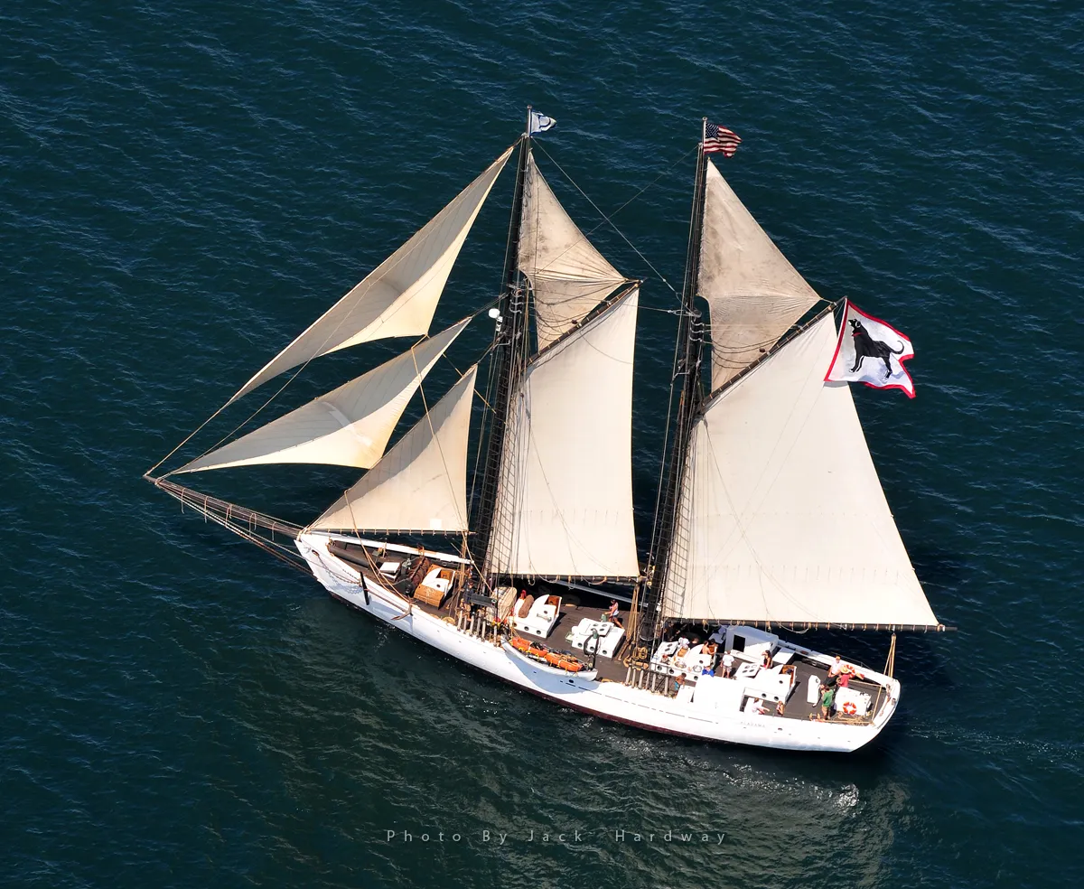 The Black Dog Tall Ships