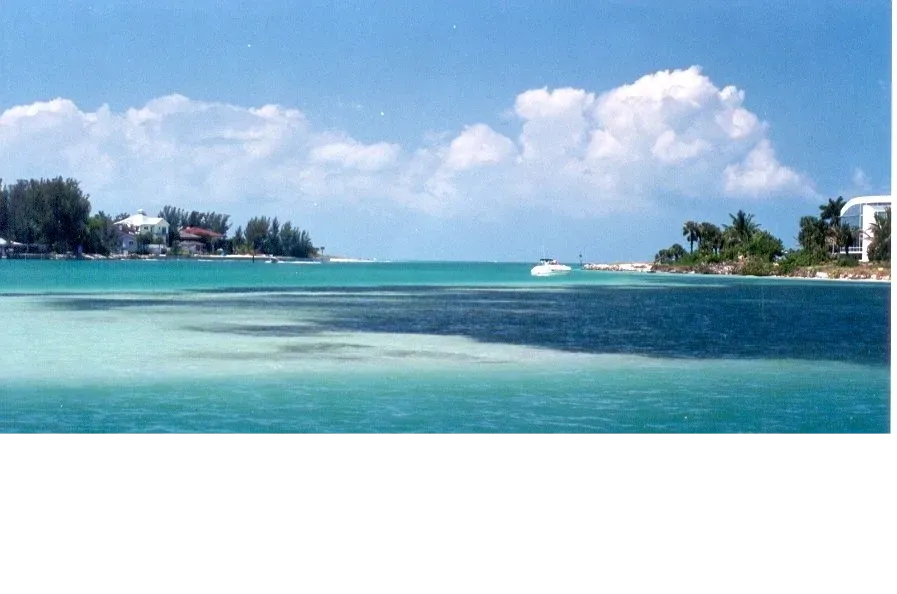 Lucky Dog Yacht Sales