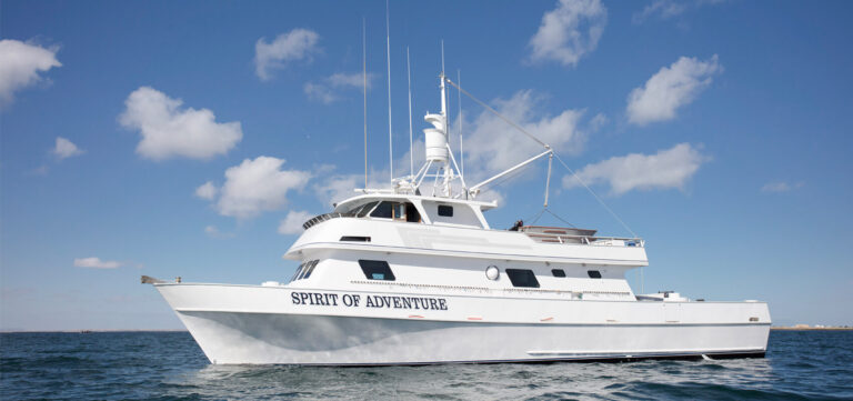 Spirit of Adventure Charters