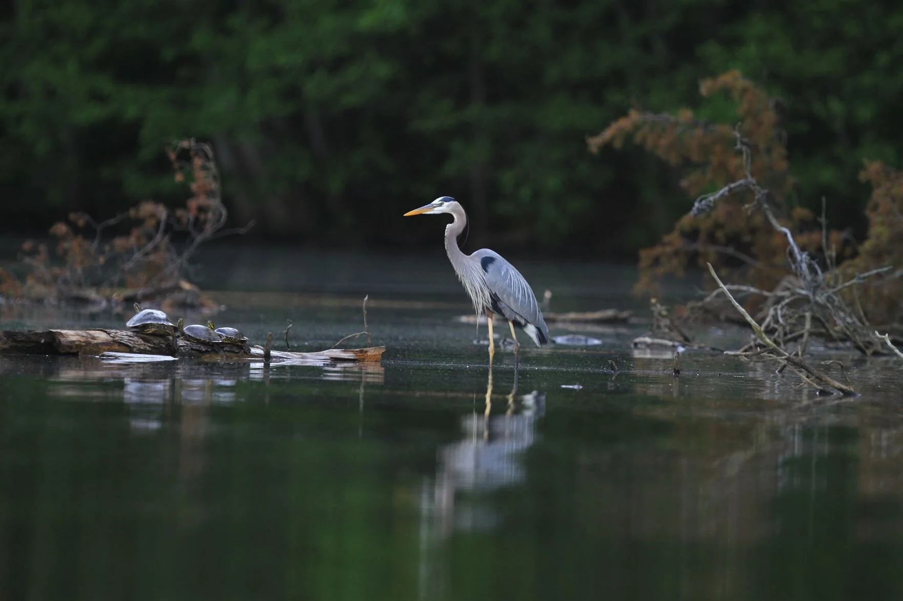 Lake Jeanette Association and Marina – Private
