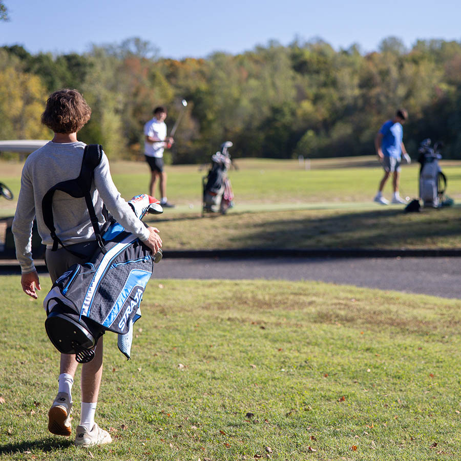Willow Landing Marina