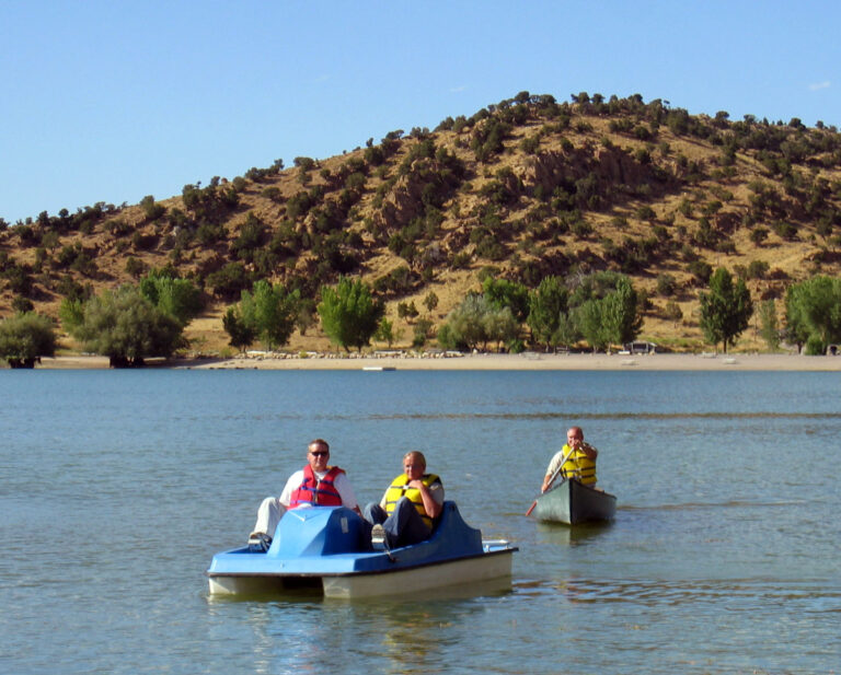 Palisade Rentals