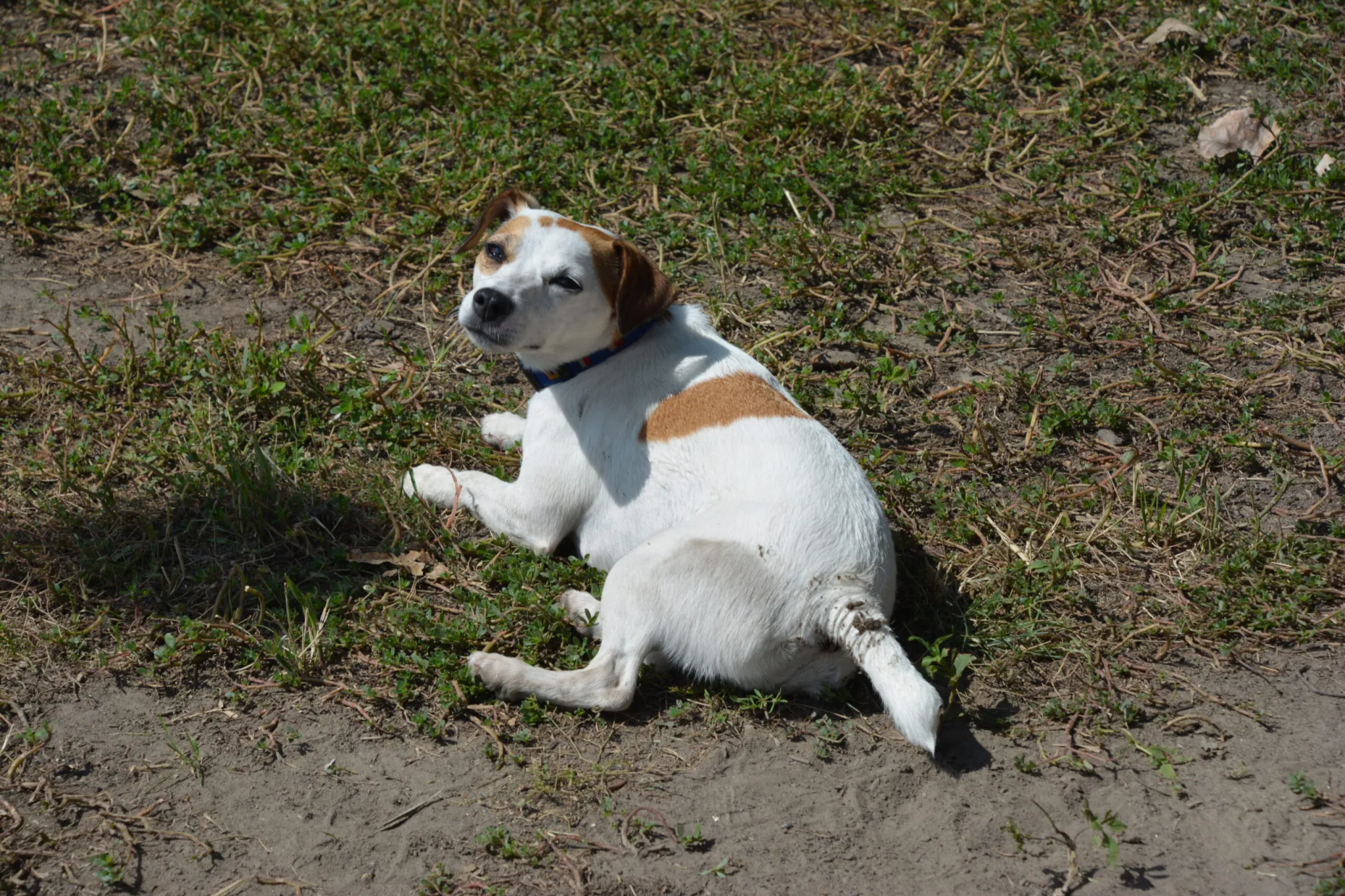 Starved Rock Yacht Club