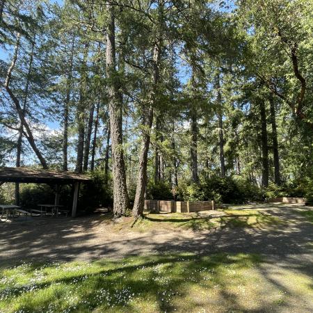 Jarrell’s Cove Marina