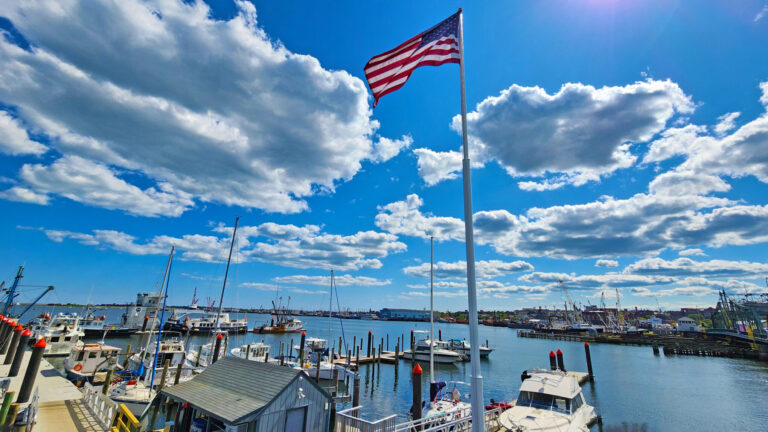 Fleet Marina