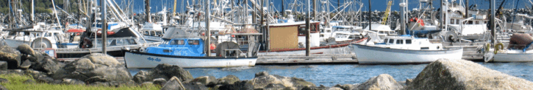 State of Alaska Aleknagik Boat Dock and Breakwater