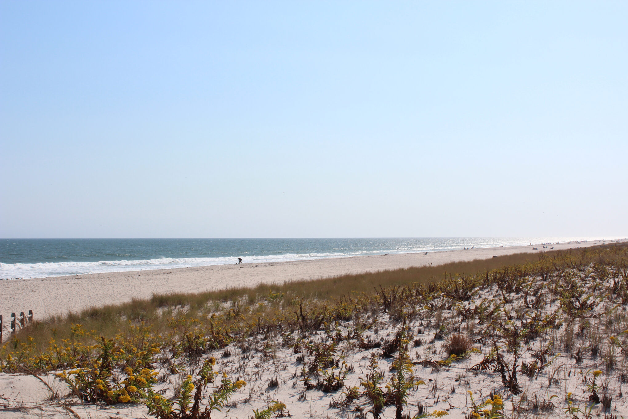 Seaside Park Marina (J Street Marina)