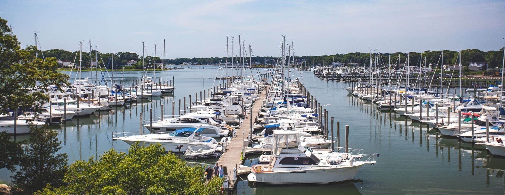 Safe Harbor Bruce & Johnsons