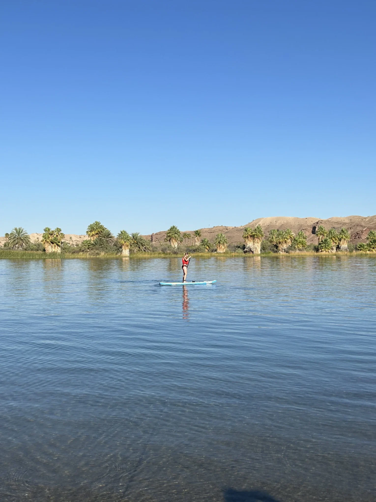 Parker Paddle Rental