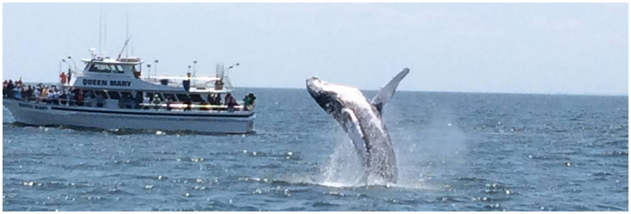 Queen Mary Party Fishing Boat & Charters