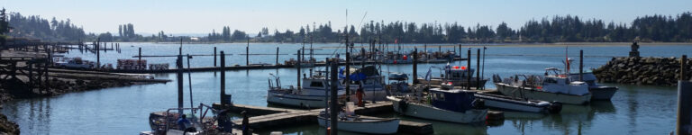 Tulalip Marina