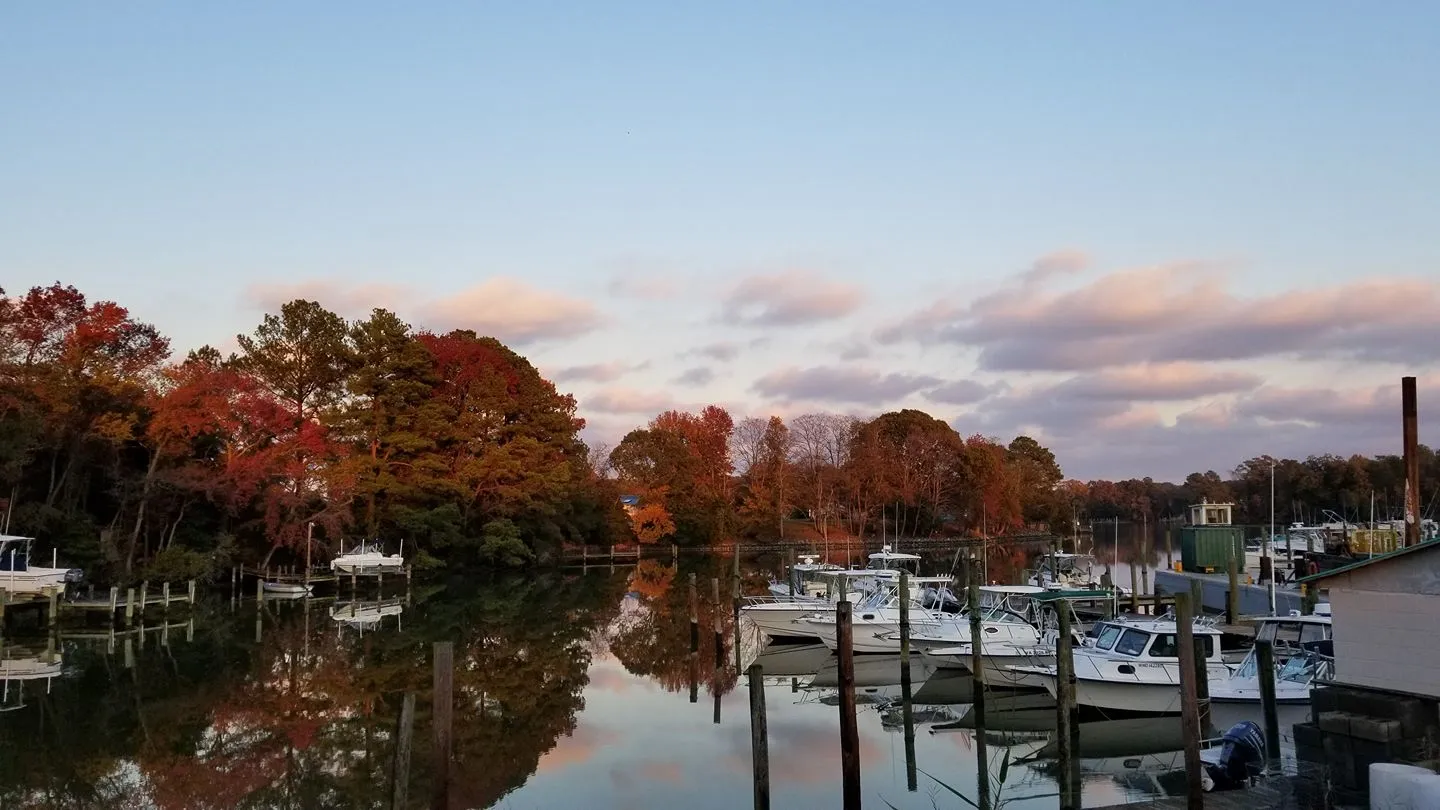 Buzz’s Marina – photo 1 of 5