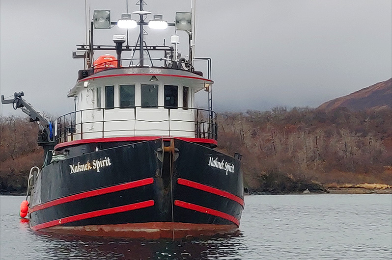 KODIAK DEER HUNTS with C & M Marine Inc.