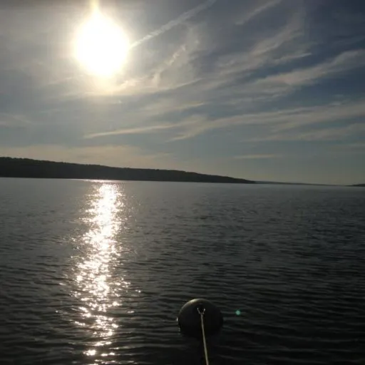 Mikes Marine Service LLC