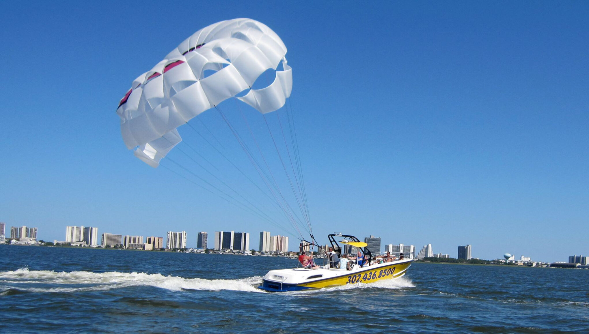 Shark’s Cove Marina