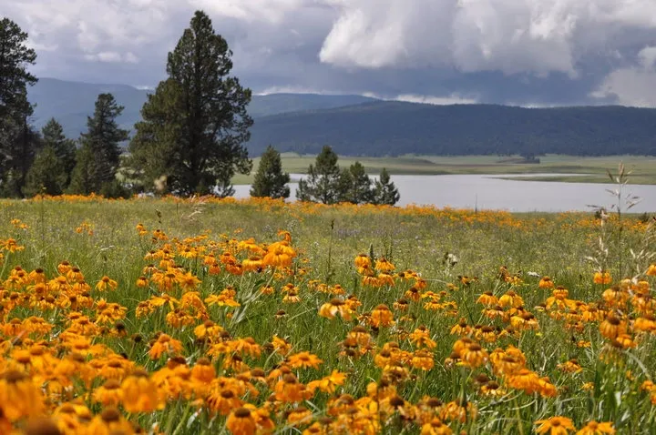 Big Lake Tackle and Supply