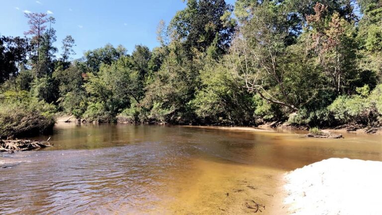 Black Creek Canoe Rental