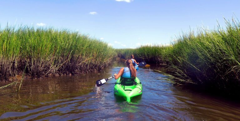 Baycats – Ocean City, NJ – Kayaks, Paddle Boards & Catamarans