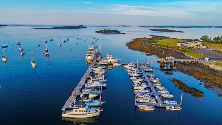 Dolphin Marine Services Inc