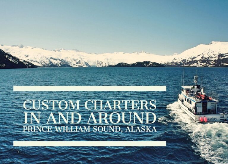 Babkin Charters