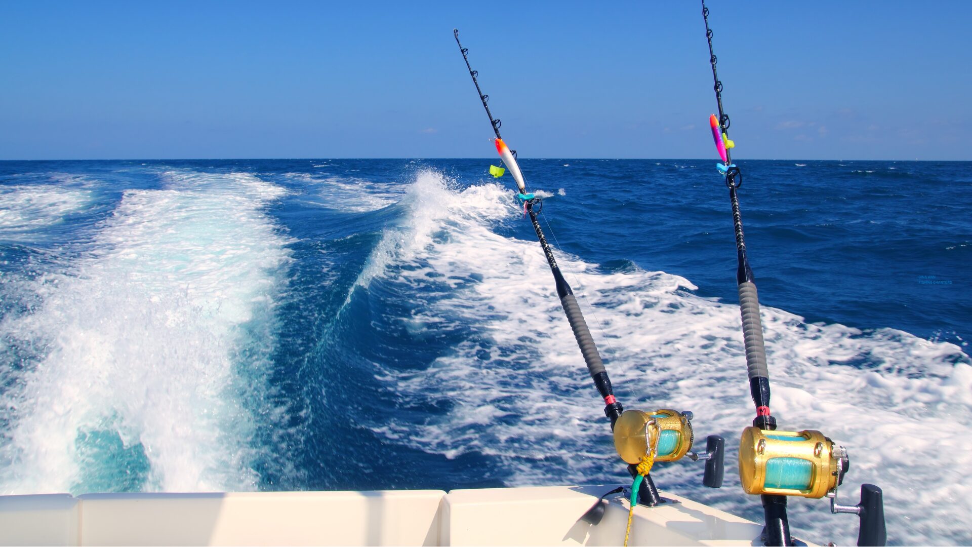 Gina Ann Fishing Charters