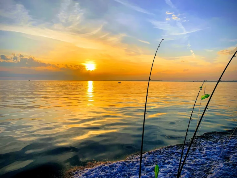 Blue Harbor Charters