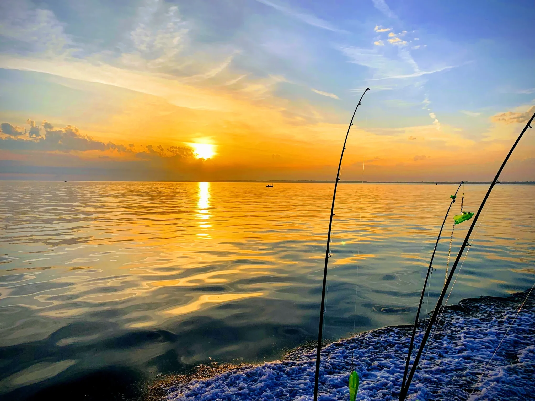 Blue Harbor Charters