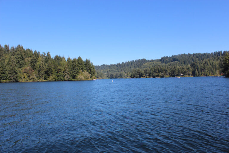 Mercer Lake Resort