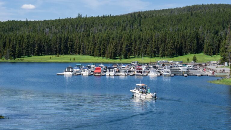 Bridge Bay Marina