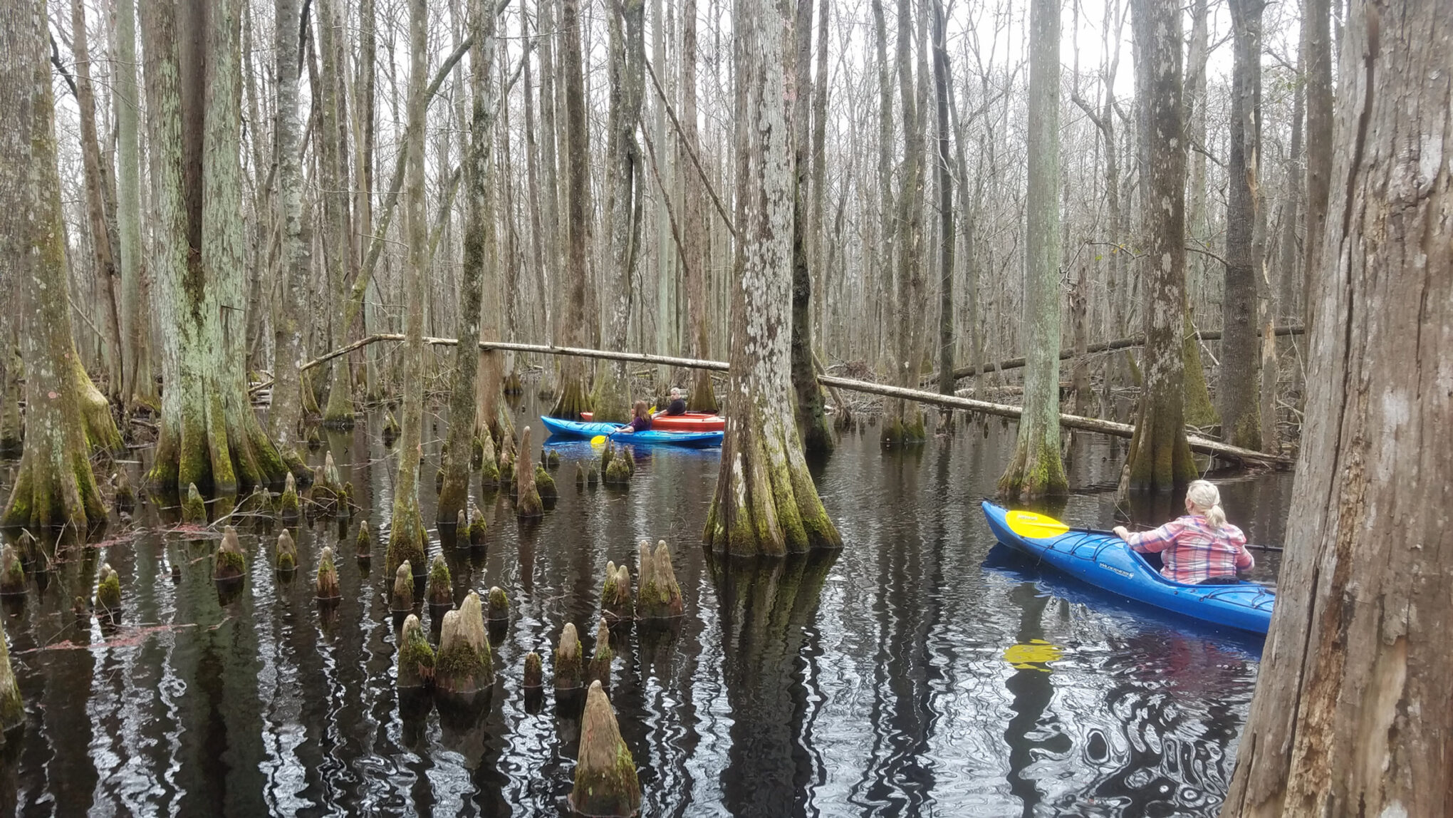 Charleston Kayak Company