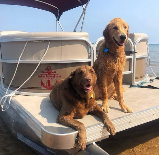 Seaberg Pontoon Rentals