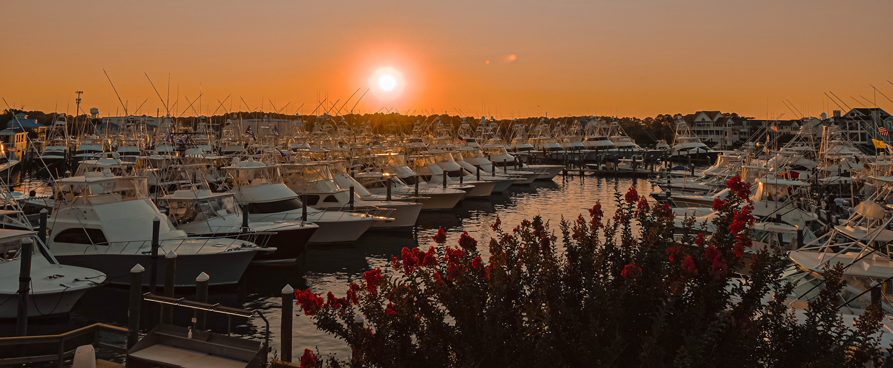 Sunset Marina