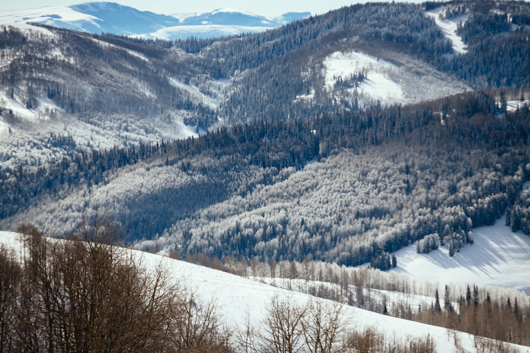 Strawberry Bay Marina