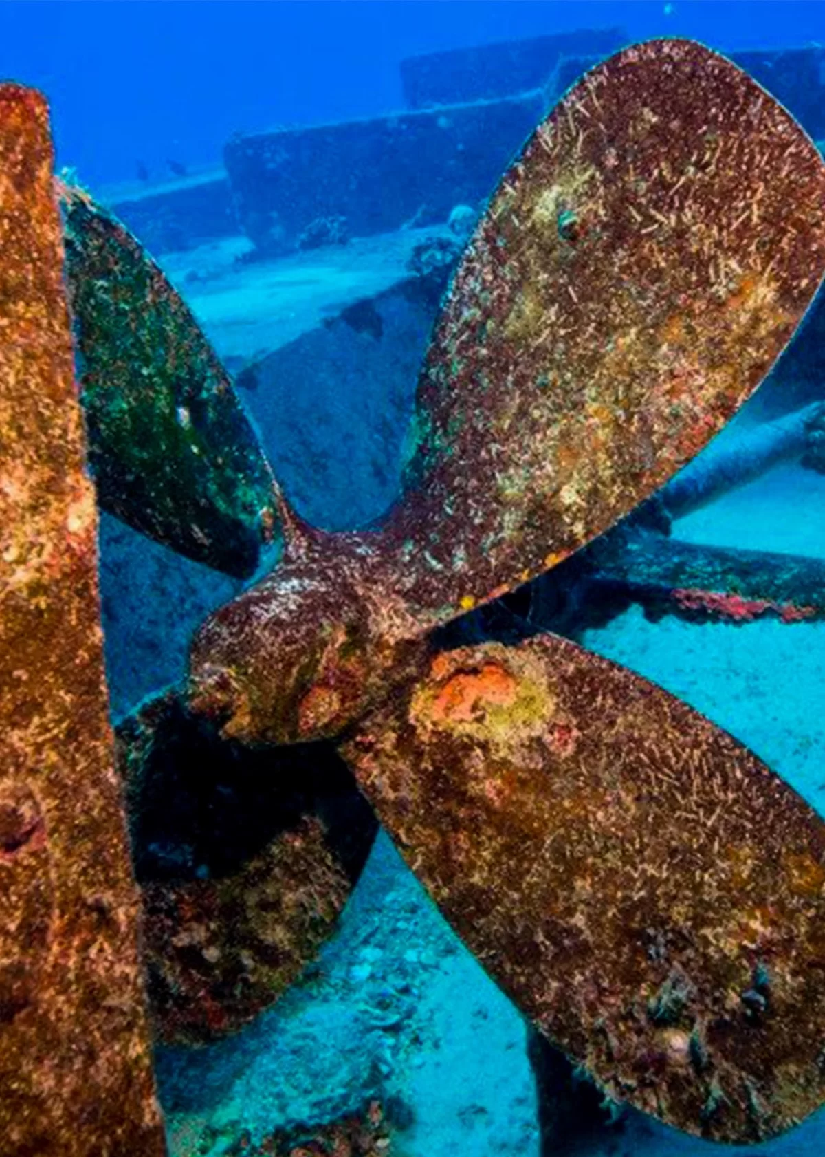 Aloha Scuba Diving Company