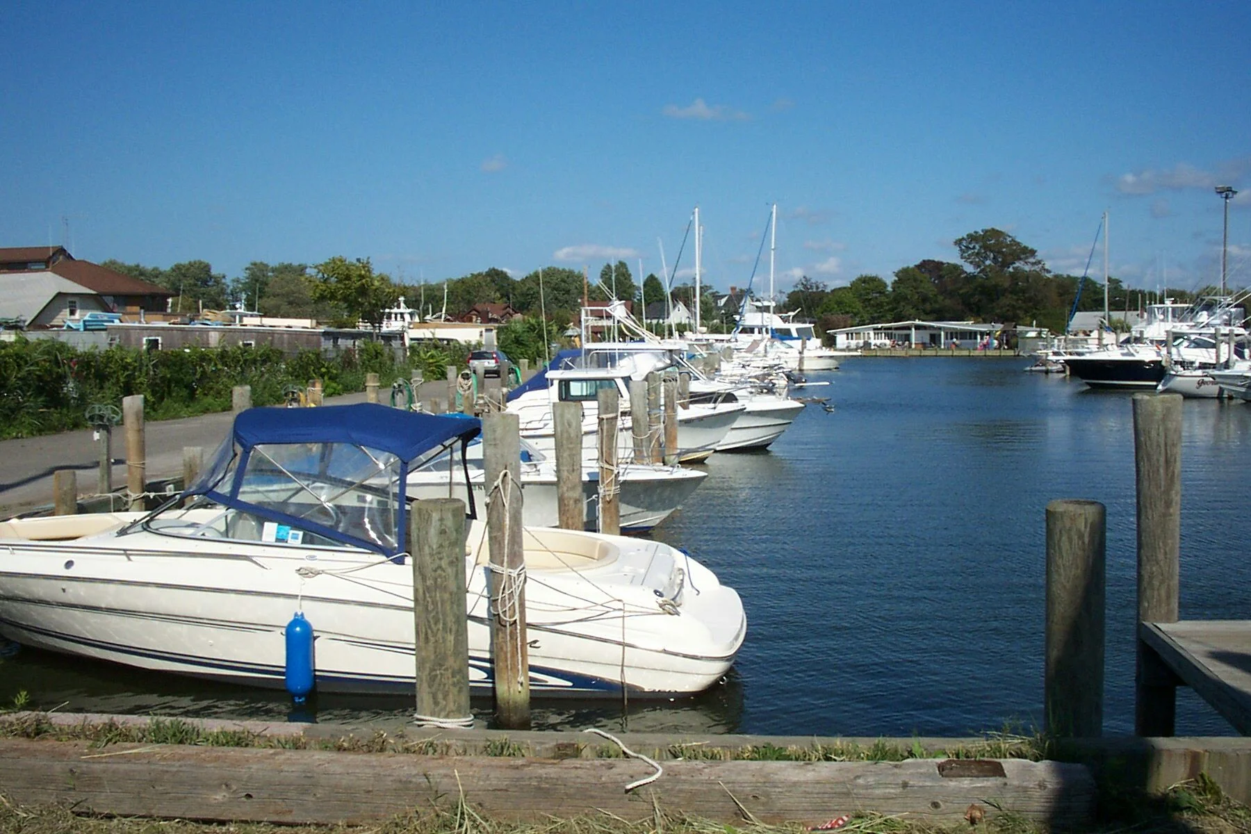 Maple Avenue Marina, LLC – photo 1 of 5