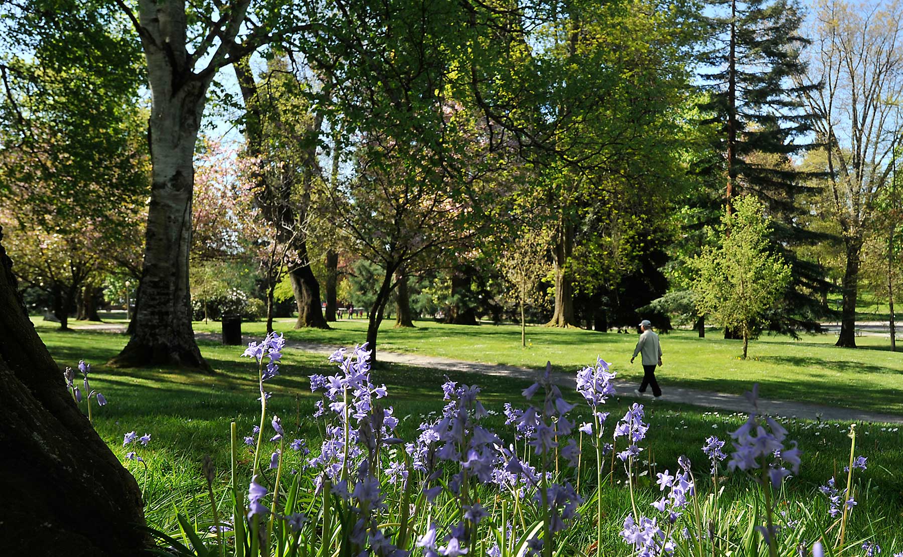 Point Defiance Marina