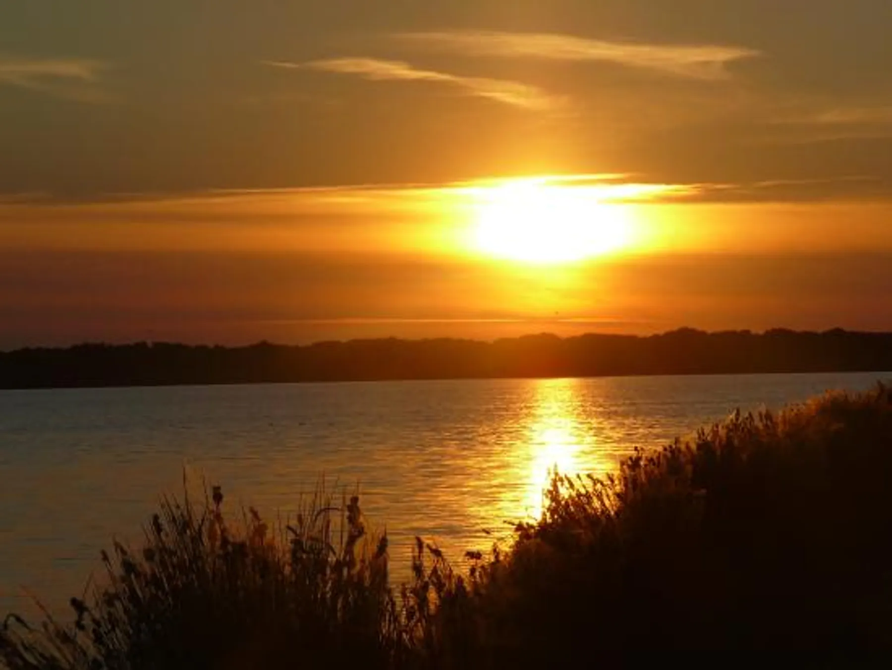 Cornelius Pontoon Rentals