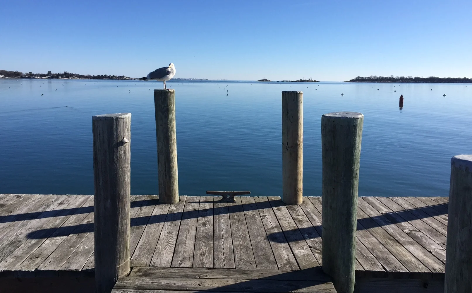 Maxwell Boatyard – photo 1 of 5