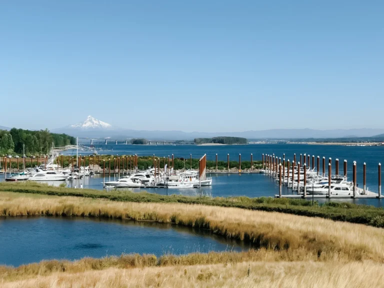 Tidewater Cove Marina