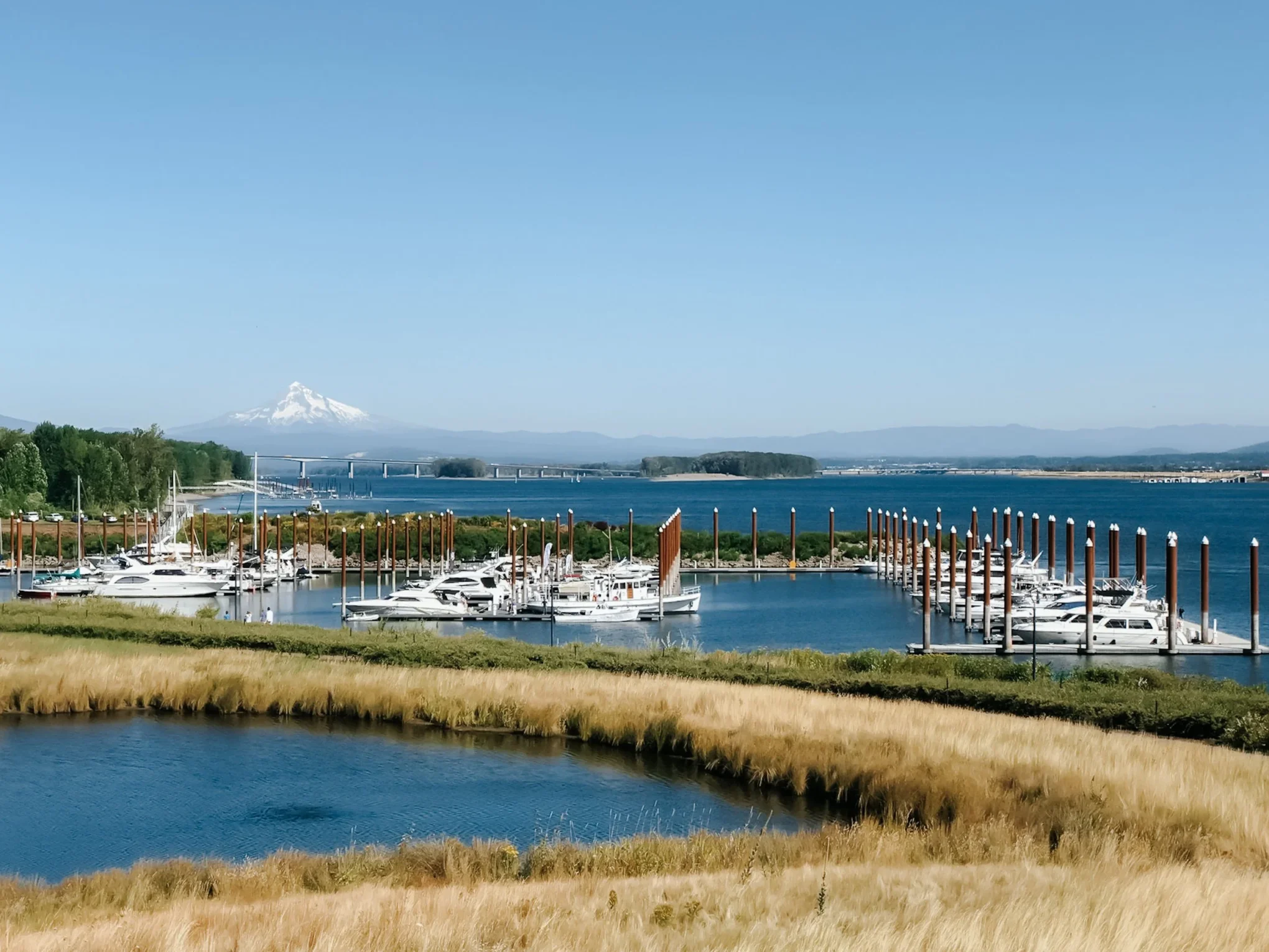 Tidewater Cove Marina