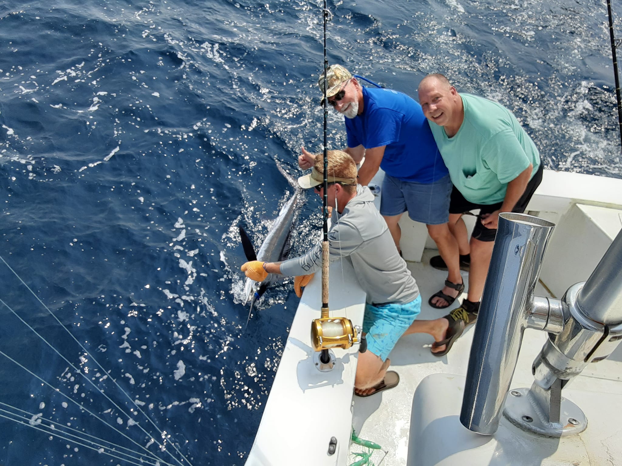 C Level Sportfishing