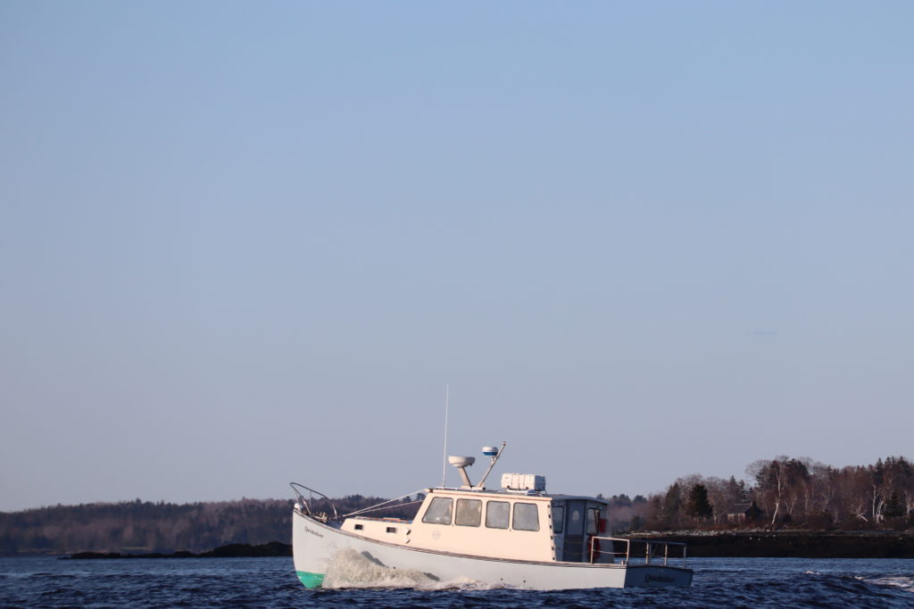 Quicksilver Water Shuttle and Charter Boat