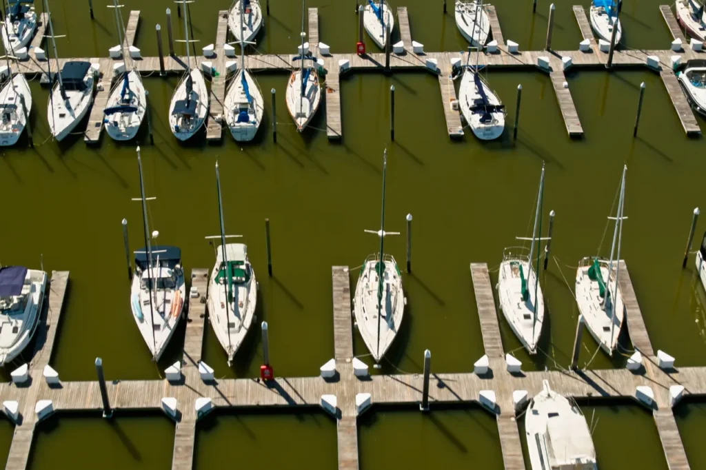 boat clubs in tarpon springs