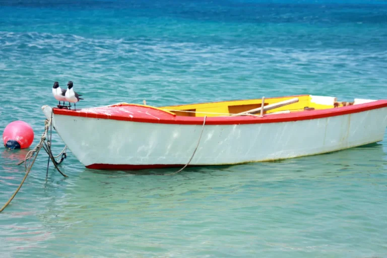 how to buy a boat in miami