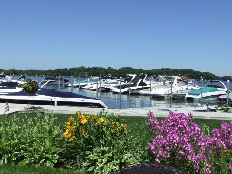 North Shore Marina Browns Bay