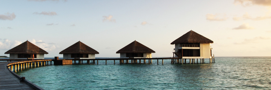 Lake Anna Boat Rental