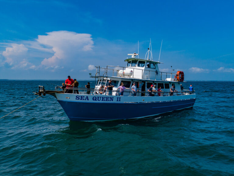 Hy-Line Cruises – Deep Sea Fishing & Hyannis Harbor Cruises