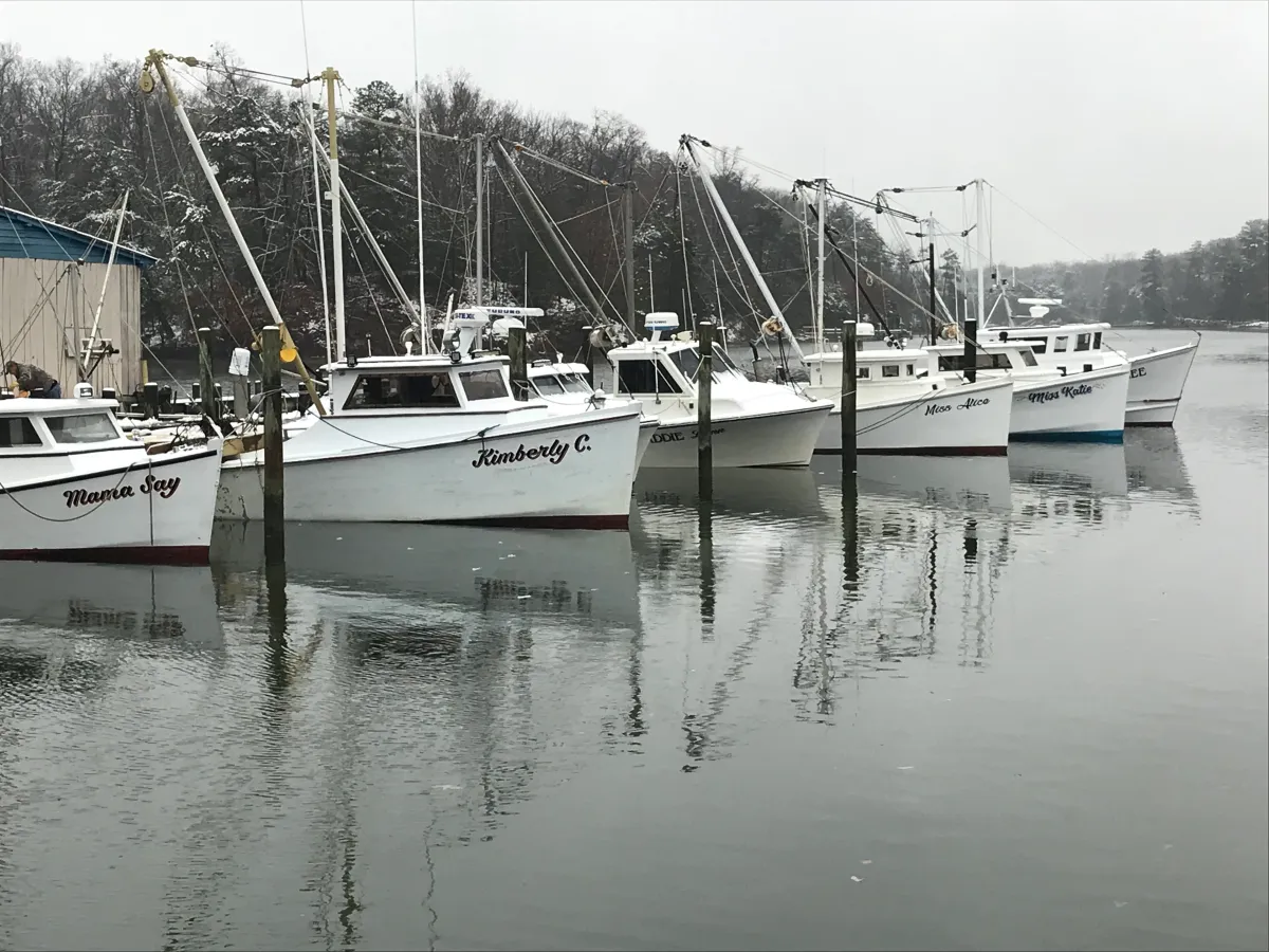 Greenvale Marina